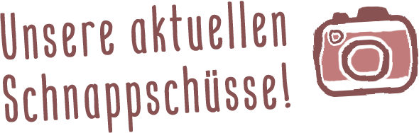 Unsere aktuellen SCHNAPPSCHÜSSE